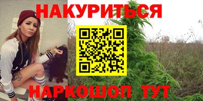 прущие грибы Краснодар