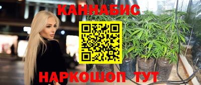 прущие грибы Краснодар