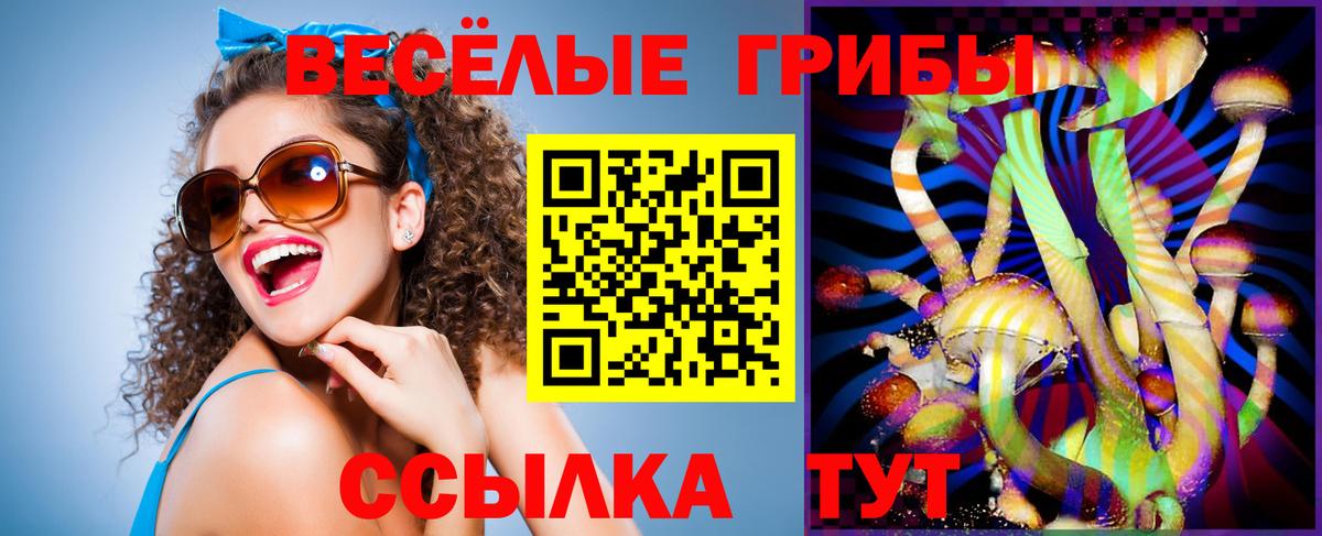 Псилоцибиновые грибы мицелий  Вход с VPN  Псилоцибиновые грибы Psilocybine cubensis  Ковров 